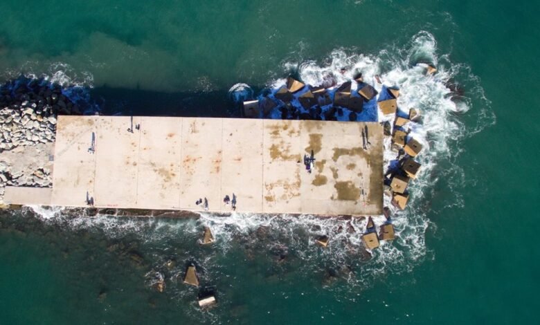 hentai platform features overview