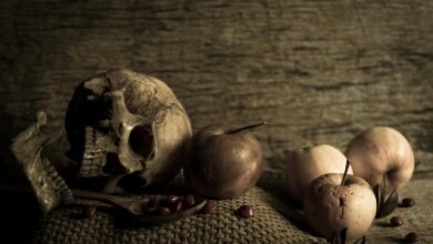 ingredients and uses explained