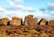 analytical correlation tracking dossier