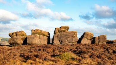 analytical correlation tracking dossier