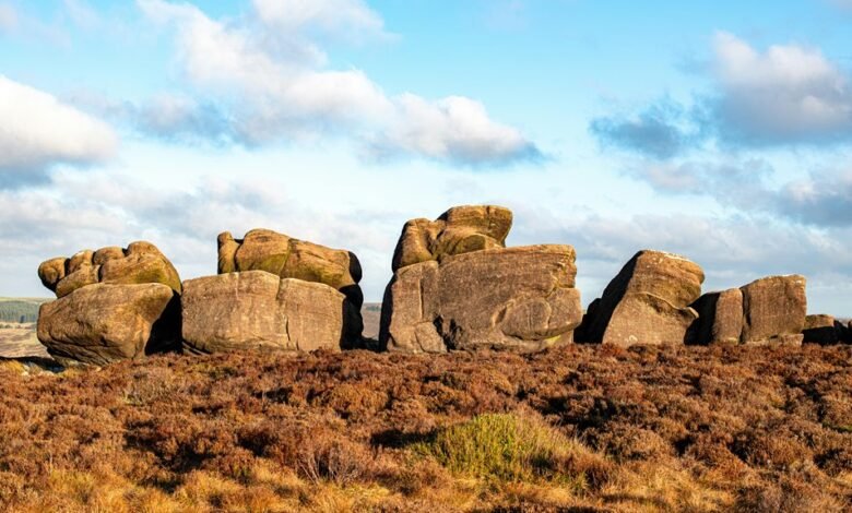 analytical correlation tracking dossier