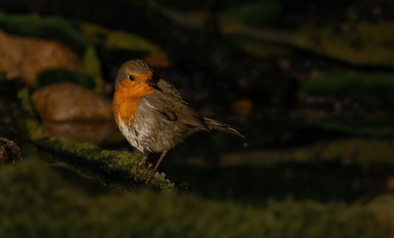 correlation synthesis log details