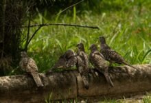 correlation trend validation log