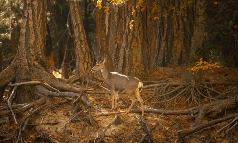 cross variable correlation inspection report