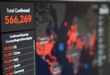 numerical data analysis presented