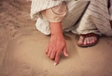 quantitative interaction trace summary