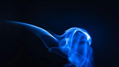 apex flow neural beam