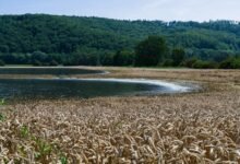 digital yield edge horizon