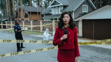 ip activity reports analysis