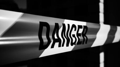 risk summary and alerts