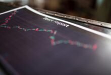 verified identification report summary