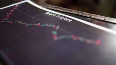 verified identification report summary