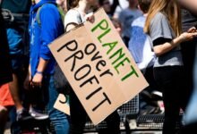 vertex profit matrix analysis