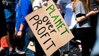 vertex profit matrix analysis