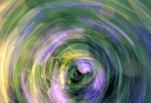 vortex market flow dynamics